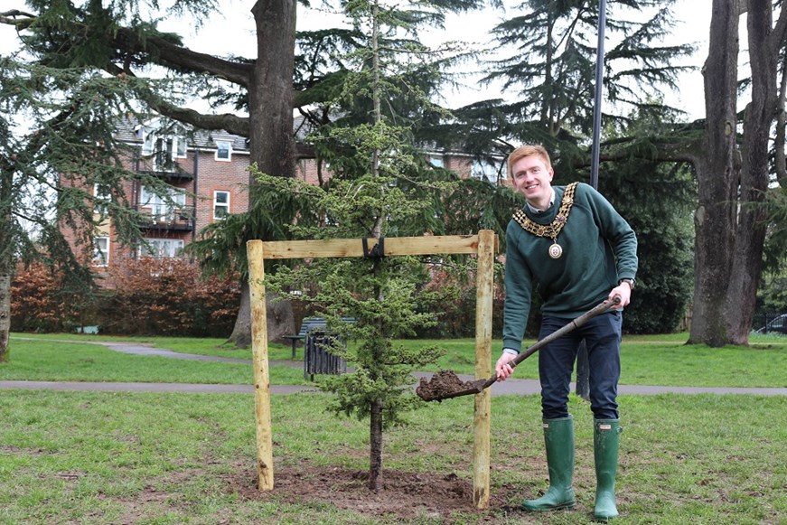 The Right Worshipful Mayor of Southampton planting tree at Cedar Lodge Park