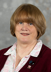 Profile image for Councillor Pat Evemy