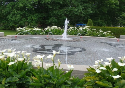 Fountain