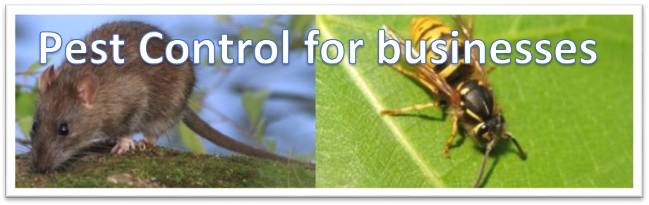 Pest Control for businesses