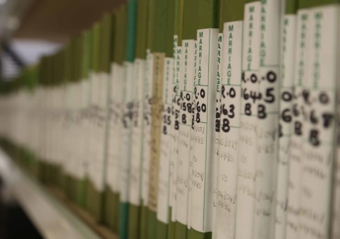 Bookcase of files