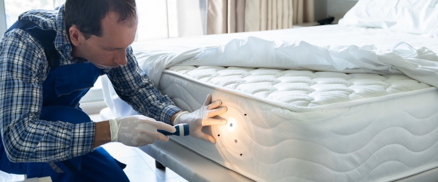 Person inspecting a mattress