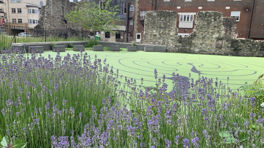 Town Quay Park miz-maze with lavendar in the foreground and part of Canute’s Palace in background
