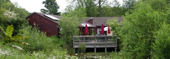 Hawthorns Urban Wildlife Centre