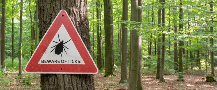 Tree with beware of ticks sign