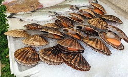 Shellfish on ice