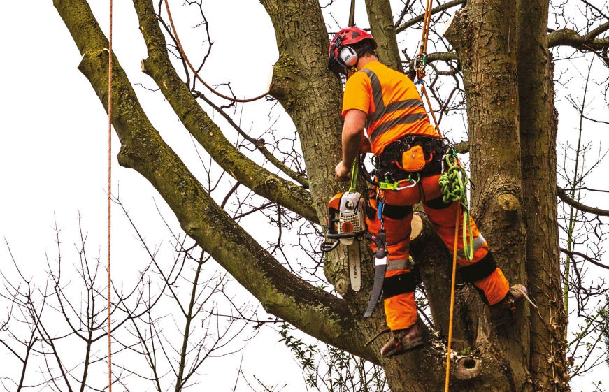 Commercial Tree Works