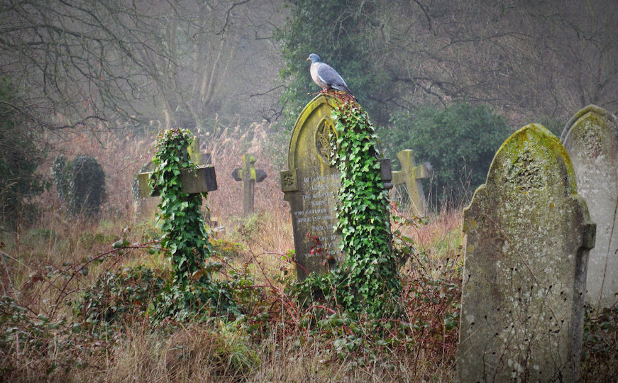 Southampton Old Cemetery