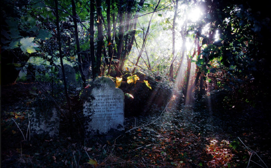 Old_cemetery_light_tcm63-408460.jpg