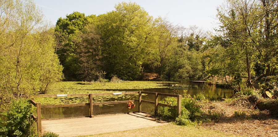 Miller's Pond