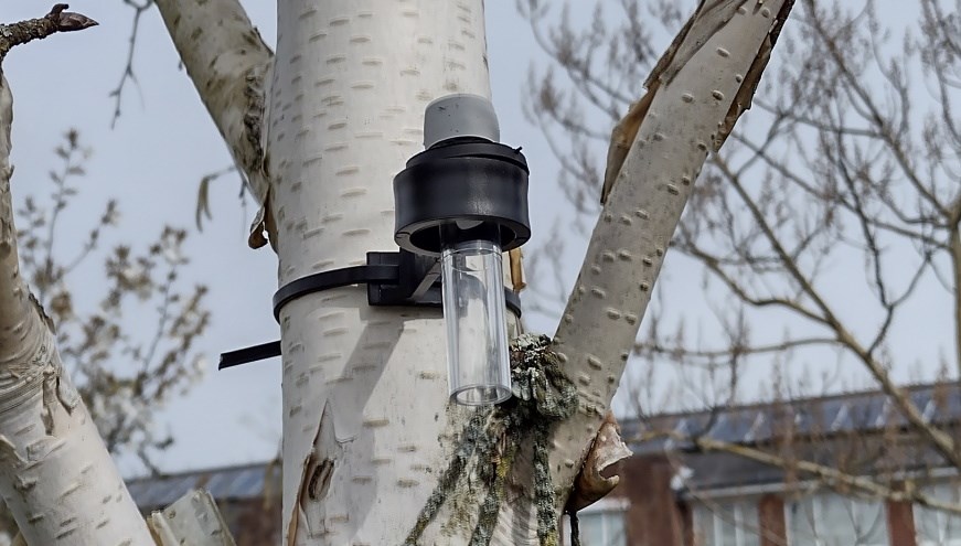 Air monitor on a tree