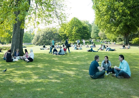 Groups of people in a park