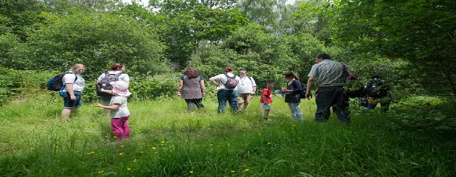 Bioblitz