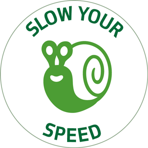 Slow your speed