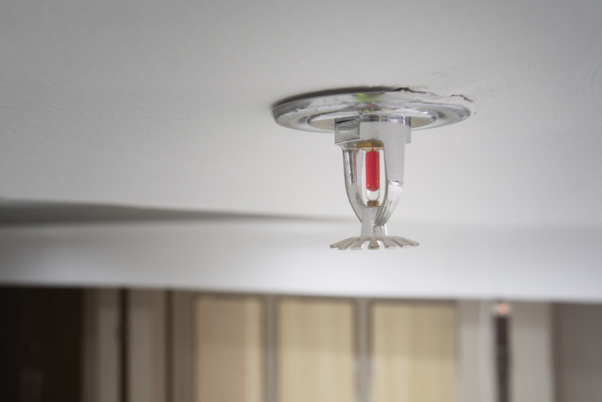 Fire Sprinkler Fire Sprinkler