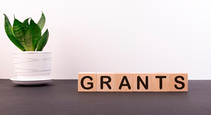 Plant on a table with sign saying 'GRANTS'