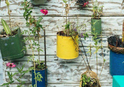 Plant pots on a wall