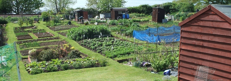 Southampton allotments shed