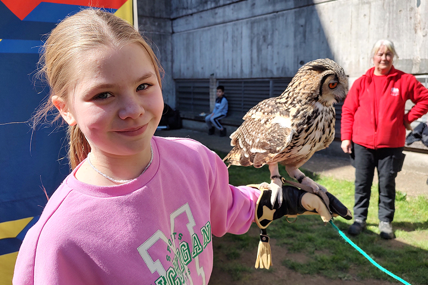 Child With An Owl On Their Arm Child With An Owl On Their Arm