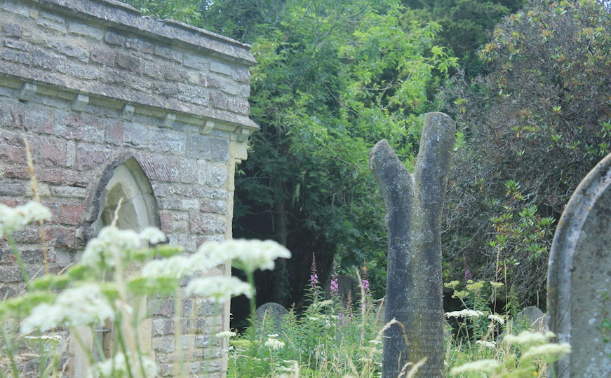 Old-cemetery-9_tcm63-415016.jpg