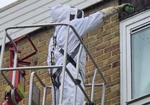 Worker spraying wasps