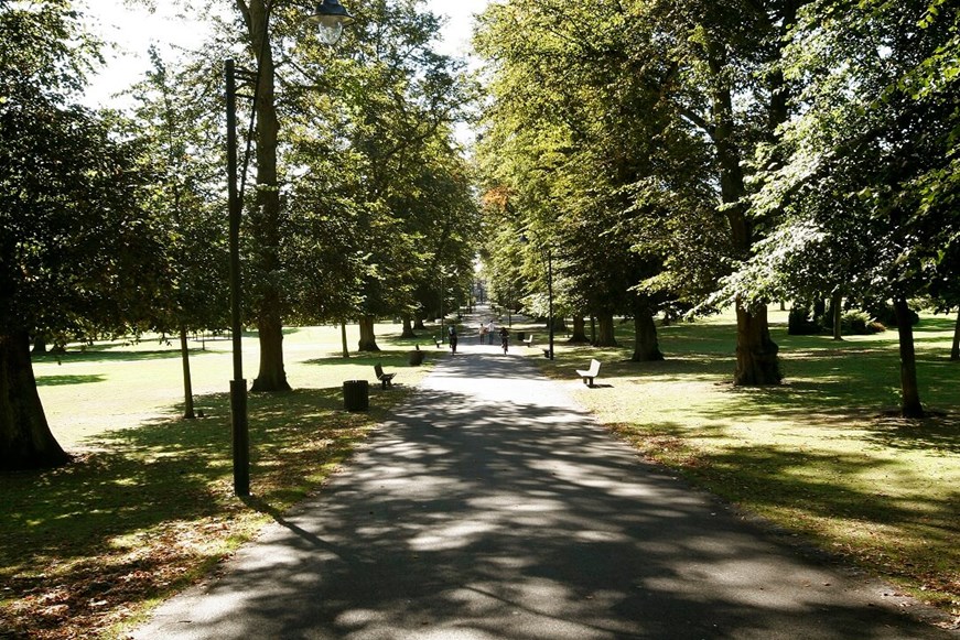 Path through park