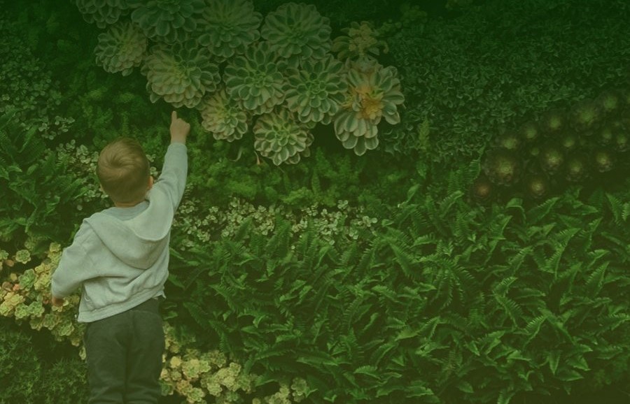 Child pointing at living wall