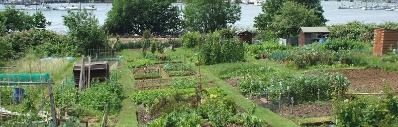 Southampton allotments