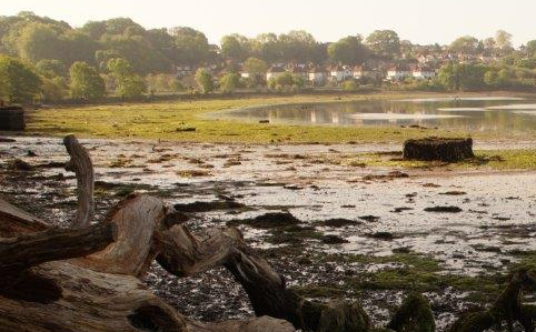 View over Chessel Bay