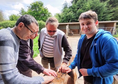 People petting a goat