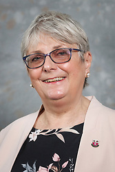 Profile image for CouncillorVivienne Windle