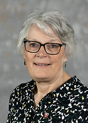 Profile image for Councillor Amanda Barnes-Andrews